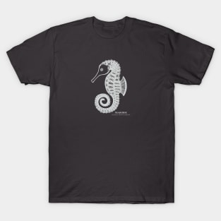 Seahorse with Common and Scientific Names - animal lovers design T-Shirt